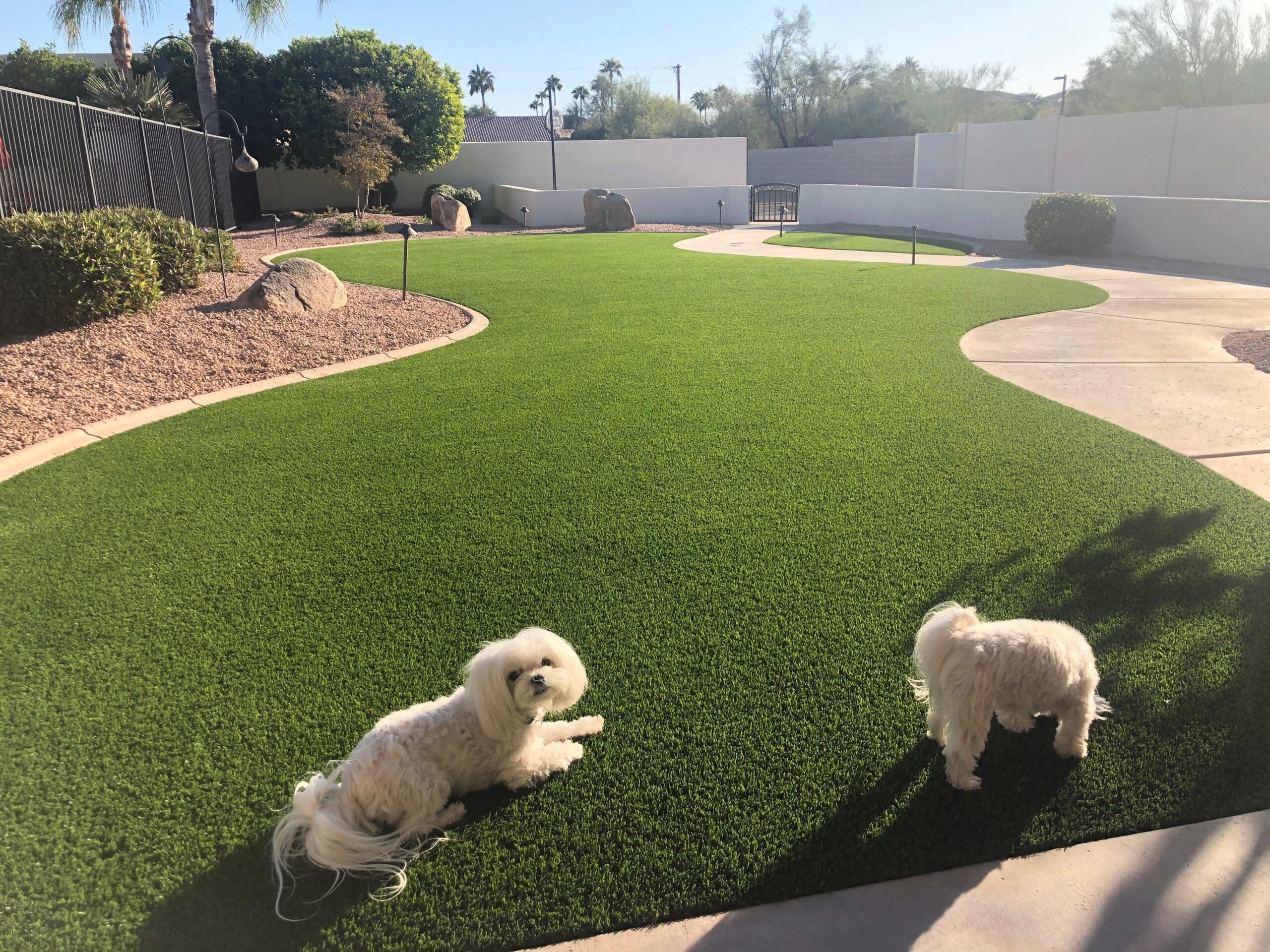 Artificial Turf Consultation