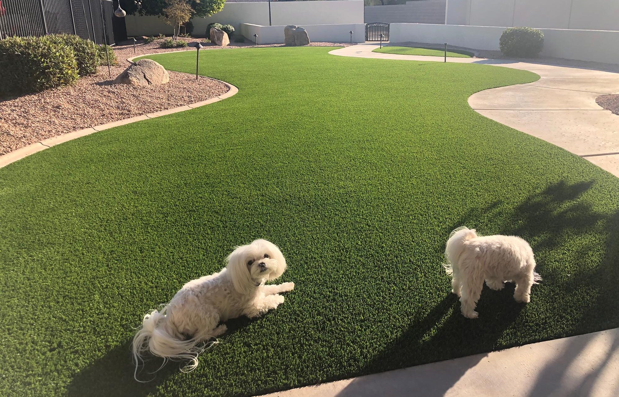 Artificial turf installation in Denton, TX